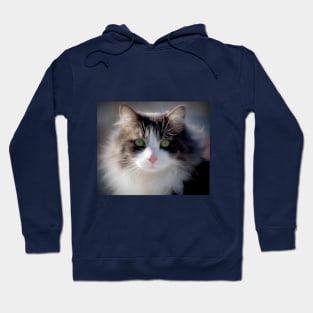 Furry Cat Hoodie